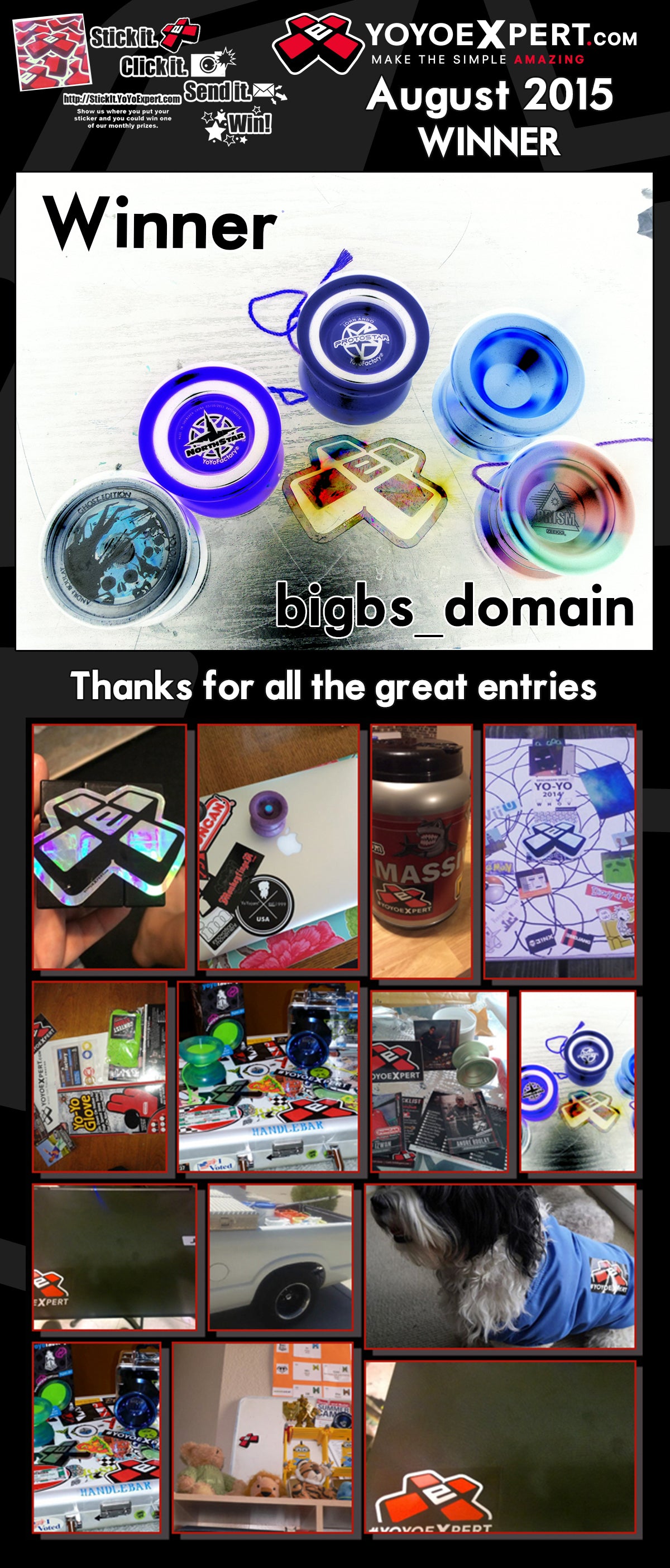 August 2015 Stick It Winner