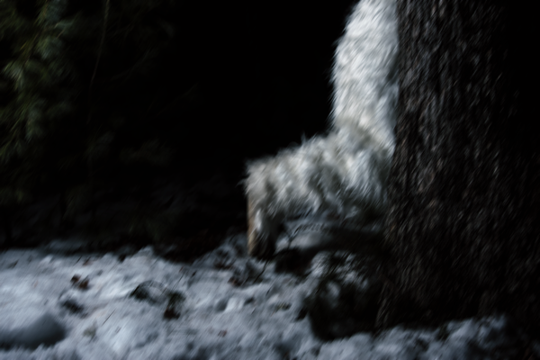 Yeti Release Details!