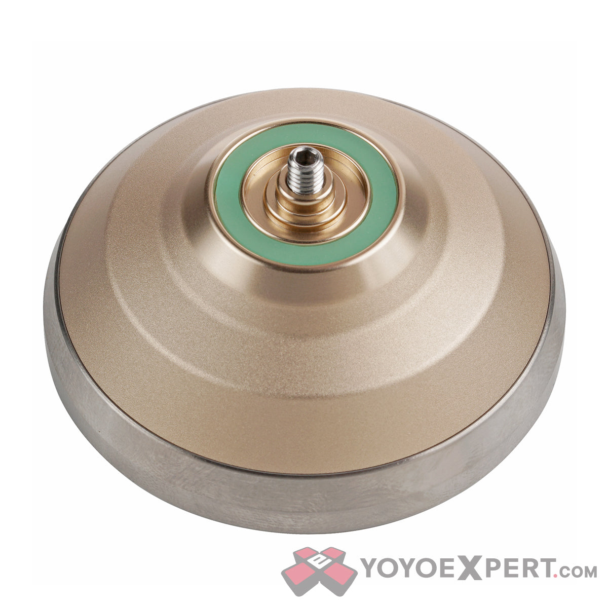 Dinosaur in the Wild