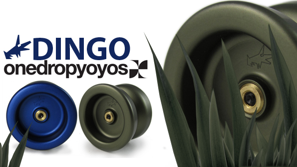 Dingo Yoyo Review