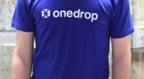 Restock on New One Drop Logo Shirts
