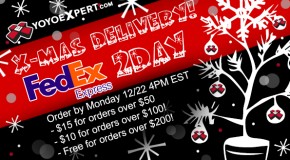 FedEx 2Day Shipping for Christmas Delivery!