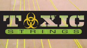 Toxic Strings Restock!