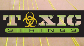 Toxic String Restock!
