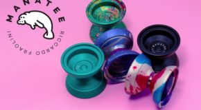 New CLYW Manatee Release!