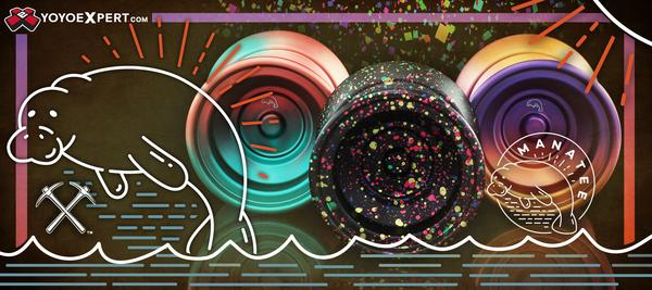 New CLYW Manatees Release Thursday!