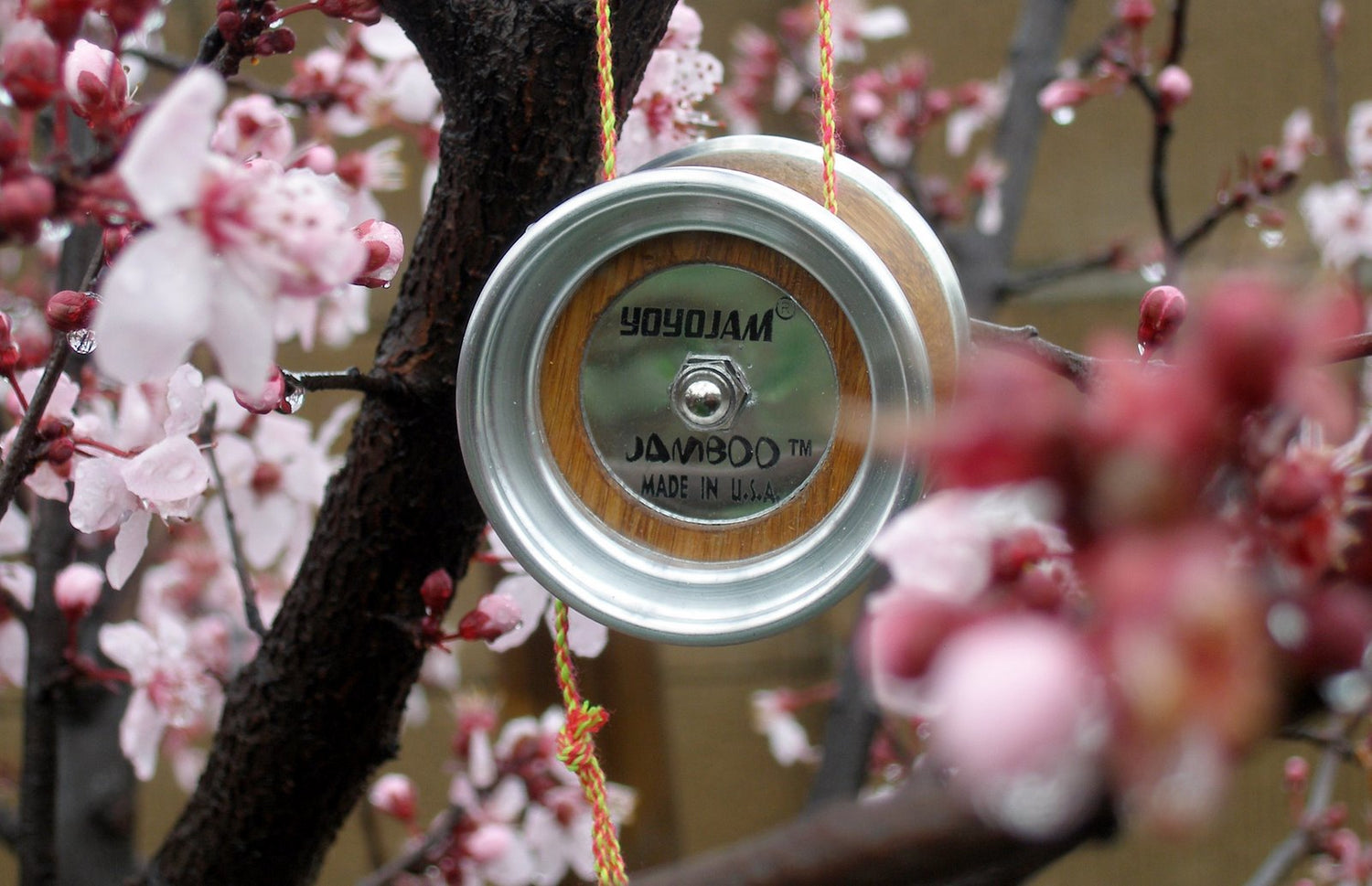 YoYoSkills.com Reviews YYJ Jamboo