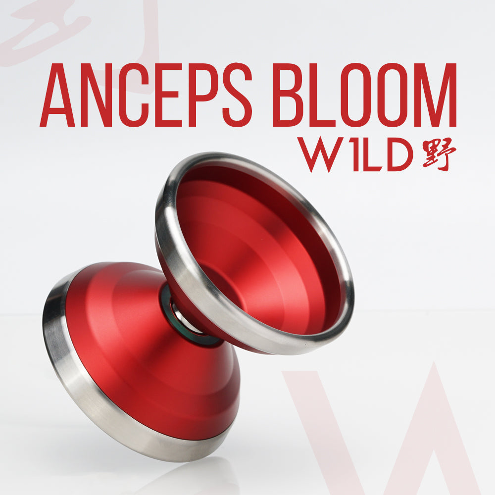 Anceps Bloom