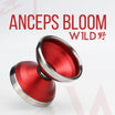 Anceps Bloom