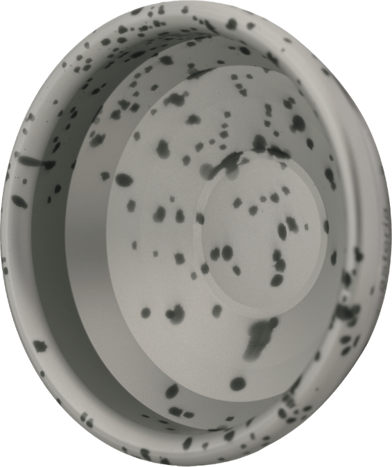 Asteria - Logo Side