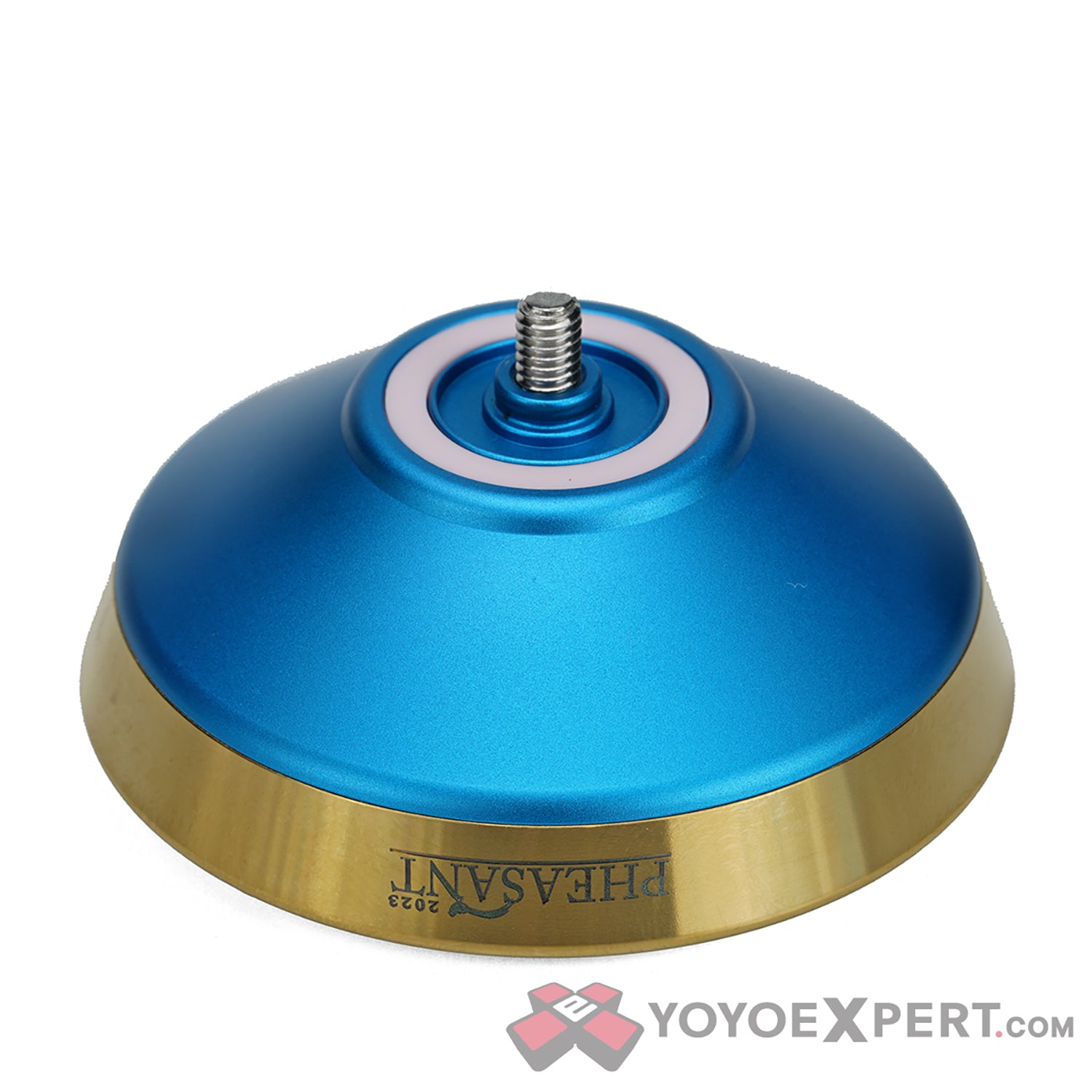 Pheasant 2023 by YoYoFriends