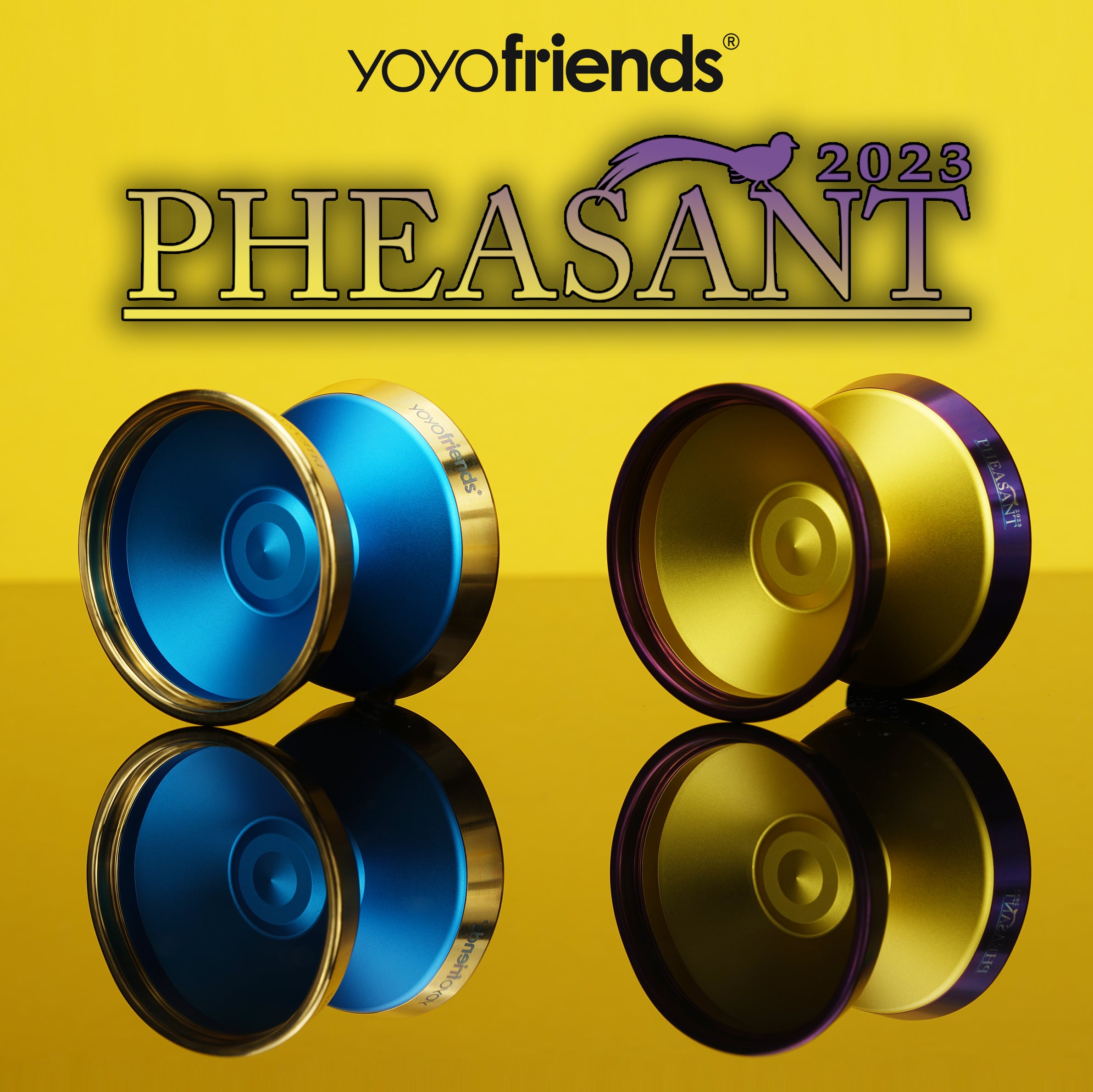 Pheasant 2023 by YoYoFriends