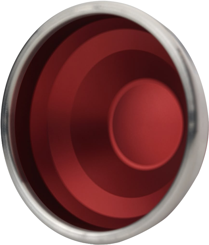 Anceps Bloom - Logo Side