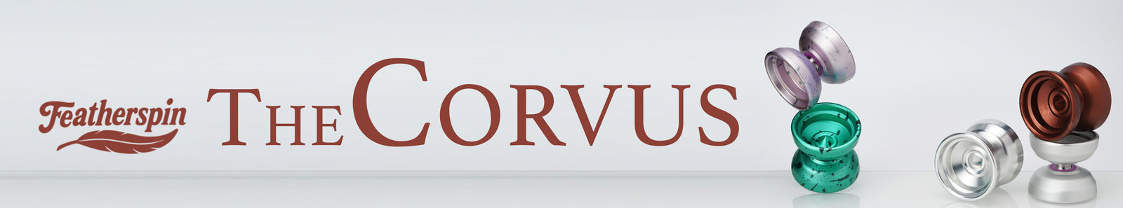 Corvus