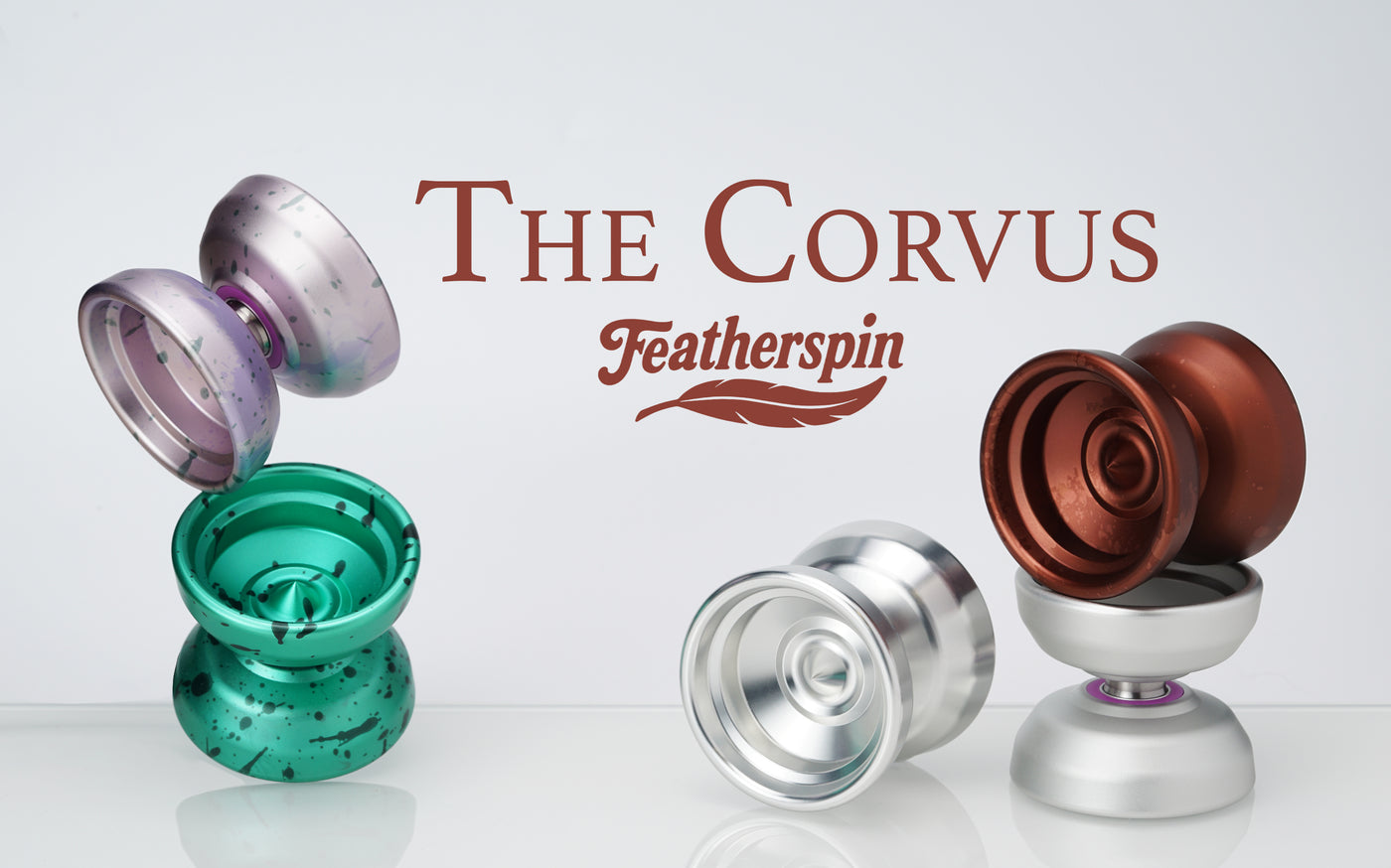 Corvus