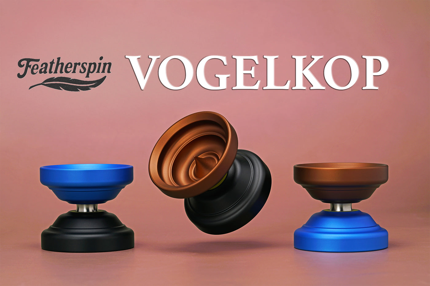 Vogelkop
