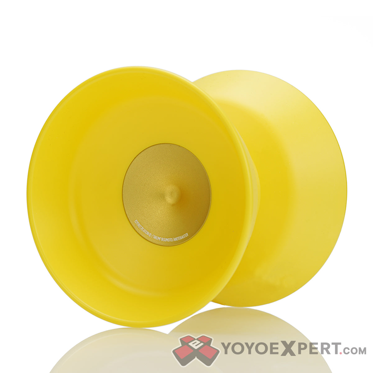 Anotogaster yoyo by Yoyorecreation