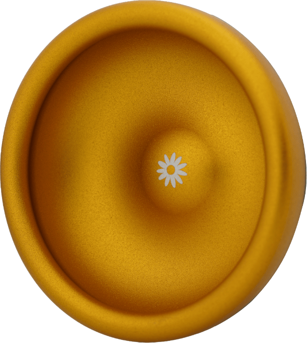 Blumi - Logo Side