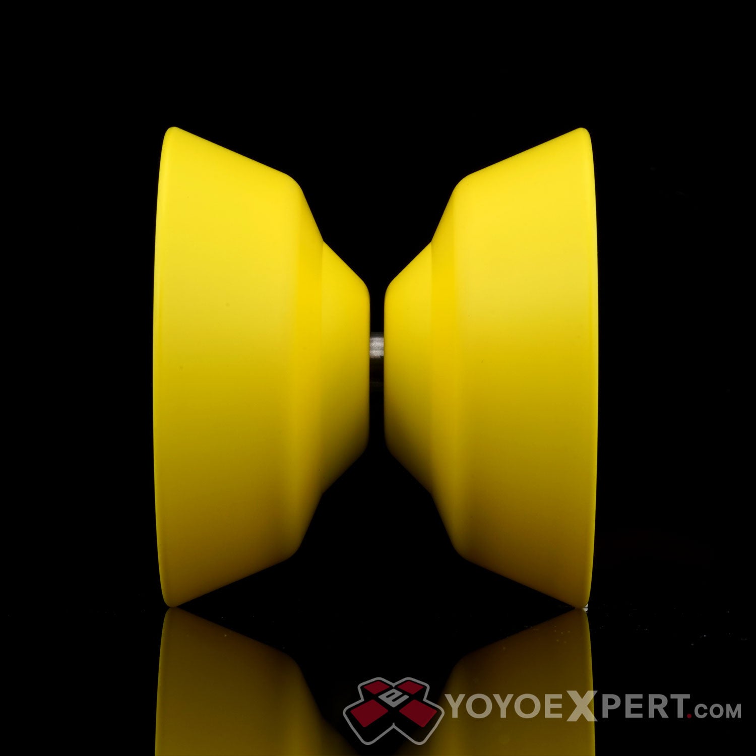 Anotogaster yoyo by Yoyorecreation