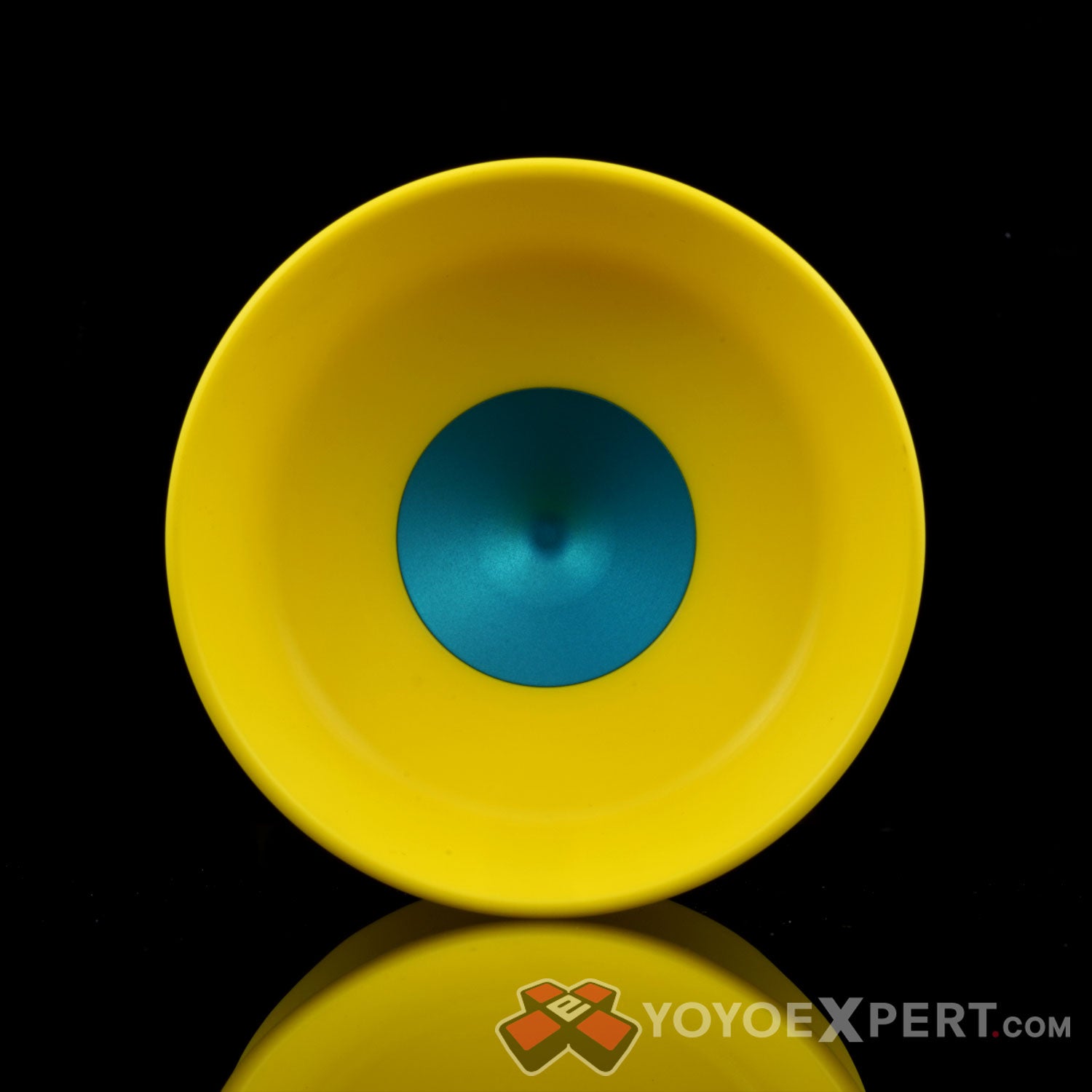 Anotogaster yoyo by Yoyorecreation